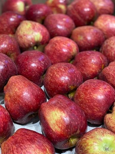 Royal Delicious Apples