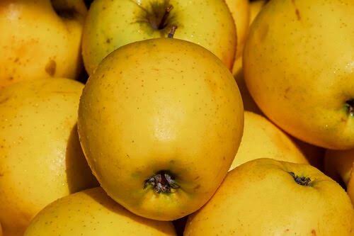 Golden Delicious Apples
